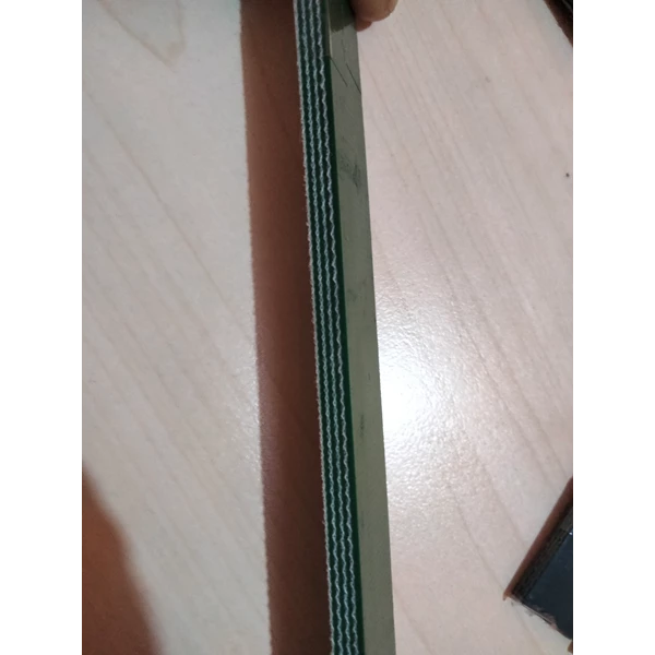 green PVC conveyor belt sistem